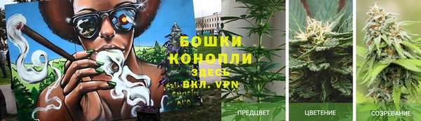 прущие грибы Алексин