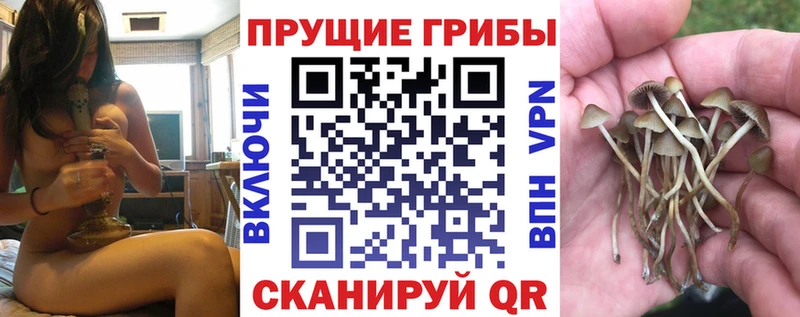 Галлюциногенные грибы ЛСД  наркота  Сольвычегодск 